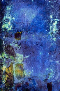 Wilton Rug - Gallo (blå)