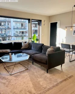 Wilton Rug - Art Silk (beige) -Viscose Rugs Shop christine.td artsilkljusgrabeige.jpg