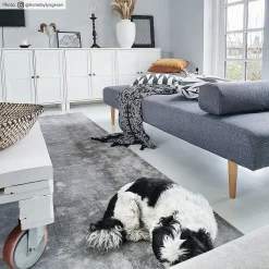 Wilton Rug - Art Silk (grey) -Viscose Rugs Shop credbilder mall art silk gra 53298.jpg