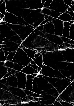 Wilton Rug - Vieste (black/white)