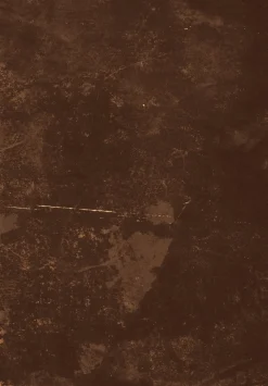 Wilton Rug - Zahora (brown)