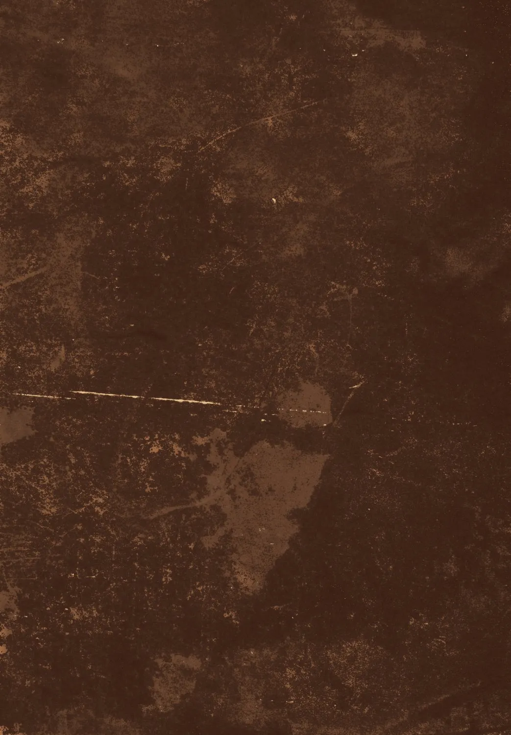 Wilton Rug - Zahora (brown) 3 Wilton Rug - Zahora (brown)