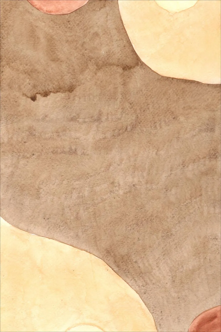 Wilton Rug - Nisa (brun/beige) 3 Wilton Rug - Nisa (brun/beige)