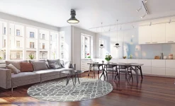 Round Rug - Draham (grey) -Viscose Rugs Shop interi1 83728.jpg