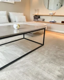 Wilton Rug - Art Silk (light Grey/beige) -Viscose Rugs Shop xxronjavivekarosenbergartsilkljusgrabeeige.jpg